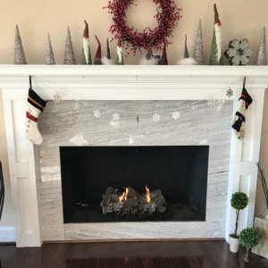 A gas fireplace conversion in Virginia Beach, VA from wood burning to gas logs.