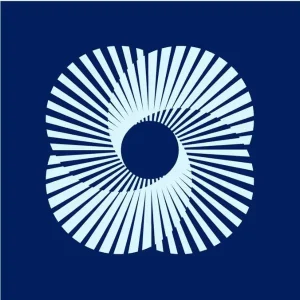 United States Chamber of Commerce membership badge for Premier Chimney and Roofing in Virginia Beach, VA